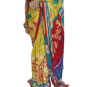 Multicolor Chiffon Saree