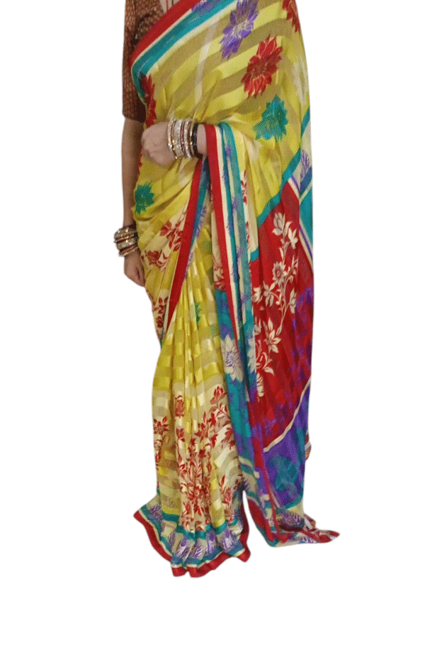 Multicolor Chiffon Saree