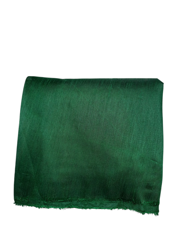 Chiffon Bandhani Printed Saree - Image 6